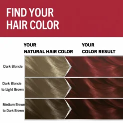 Schwarzkopf Brillance 842 Cashmere Red Hair Dye Schwarzkopf Brillance 842 Cashmere Red hair color result chart showing transformation from dark blonde, light brown and dark brown to red hair color