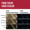 Schwarzkopf Brillance 890 Black hair color result chart depending on natural hair color
