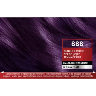 Schwarzkopf Brillance 888 Dark Cherry hair color shade swatch
