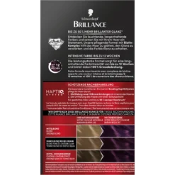 Schwarzkopf Brillance 888 Dark Cherry hair dye packaging with instructions