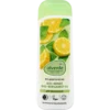 Alverde Shower Gel Mint Bergamot, 250ml alverde NATURKOSMETIK Mint and Bergamot Shower Gel front packaging