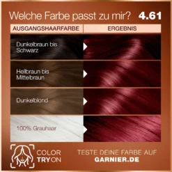 Garnier GOOD 4.61 Sunrise Violet Garnier GOOD 4.61 Sunrise Violet - Result