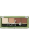 Alverde Eyeshadow Palette Quattro Chocolate 37