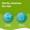 Priorin shampoo infographic showing gentle hair cleansing formula without parabens and colorants