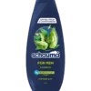 Schauma For Men Shampoo 400ml front