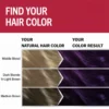 Schwarzkopf Brillance 859 Violet Wild Silk hair color result chart depending on natural hair color