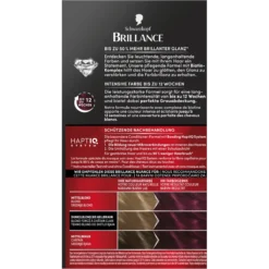 Schwarzkopf Brillance 859 Violet Wild Silk hair dye packaging with instructions