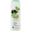 alverde NATURKOSMETIK Olive & Aloe Vera Body Lotion 250 ml for dry and dehydrated skin