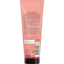 Back of ISANA Professional Color Protection & Care Shampoo 250 ml showing ingredients and product information