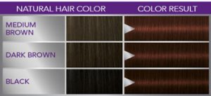 Schwarzkopf Perfect Mousse 388 Dark Reddish-Brown by